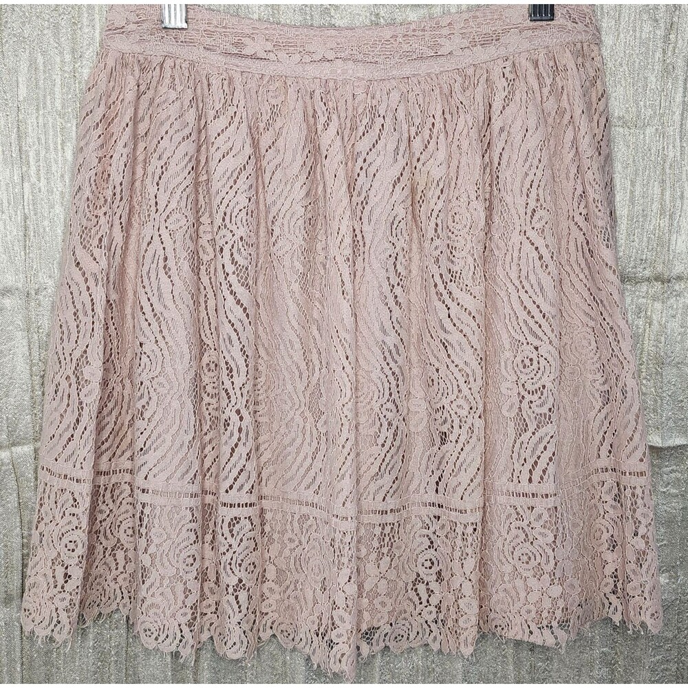 Dusty Rose Lace Skater Skirt XS 26 Waist Lined Poetcore Coquette Flare Mini